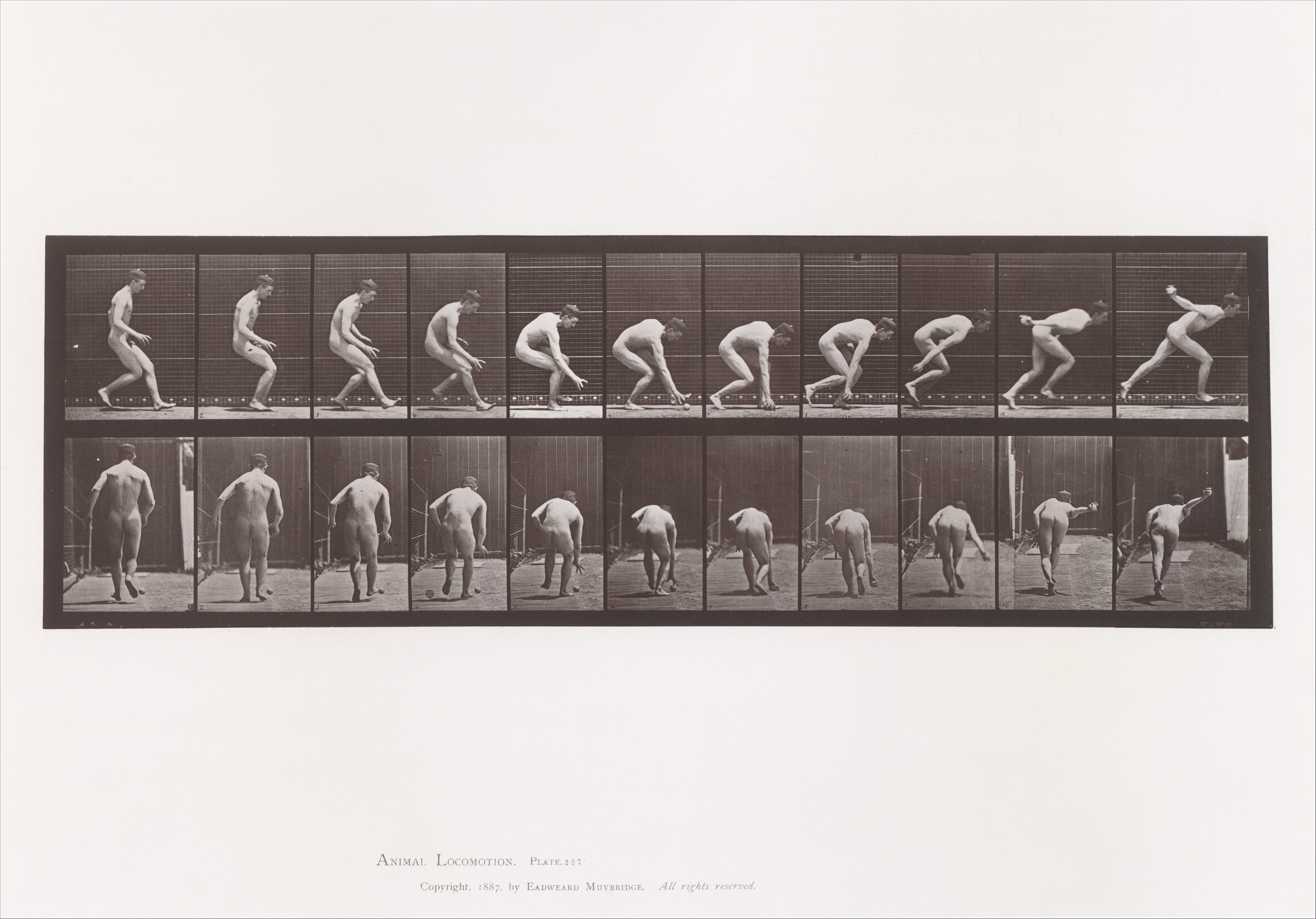 Eadweard Muybridge Artworks collected in Metmuseum